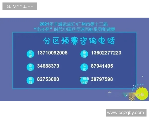 北京排球队杯赛战术解析与表现评估全面分析