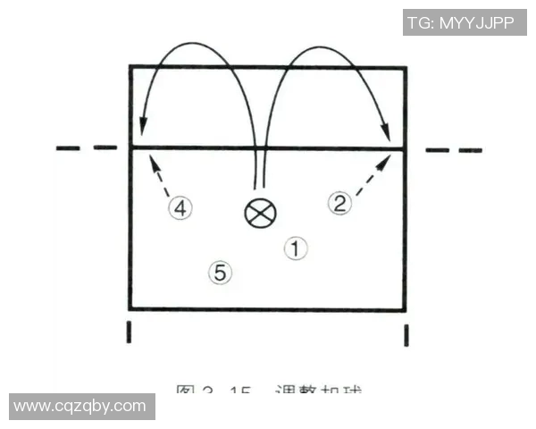 成都排球队防反战术解析：深度剖析排球比赛中的策略与技巧