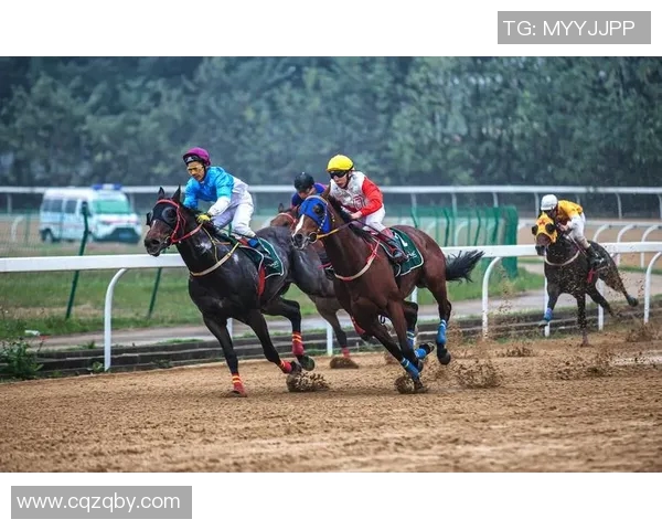 武汉羽毛球队速度表现数据分析揭示运动员潜力与训练效果的深度关系 武汉羽毛球队速度表现数据分析揭示运动员潜力与训练效果的深度关系