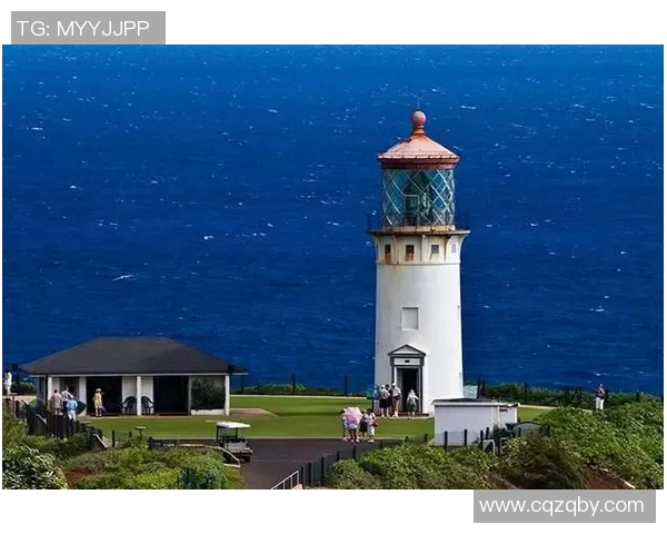 吉布森的传奇人生与创作历程探秘：从音乐到电影的多元艺术之旅