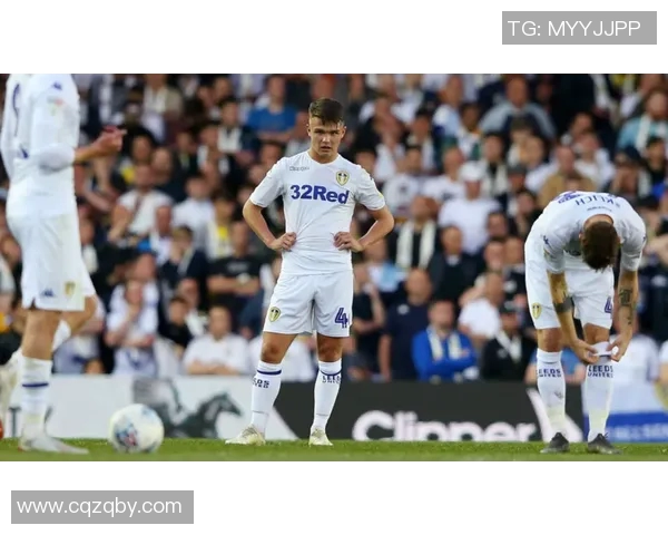 利兹与伯明翰比赛数据深度分析及战术对比探讨