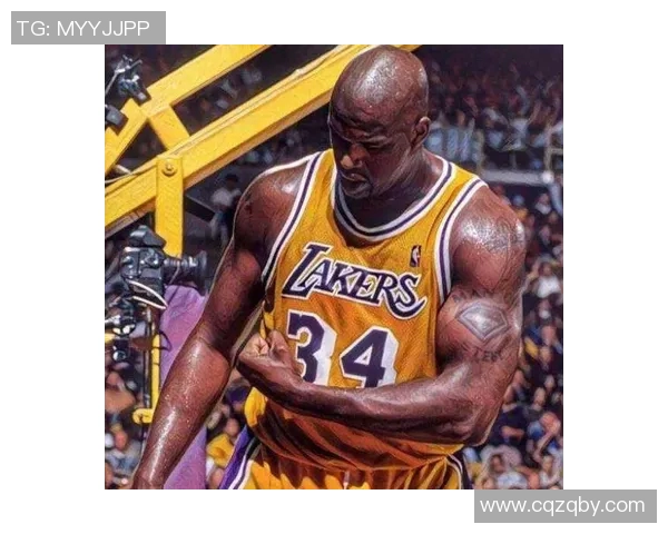 篮球明星麒麟的传奇之路与青春岁月的奋斗故事