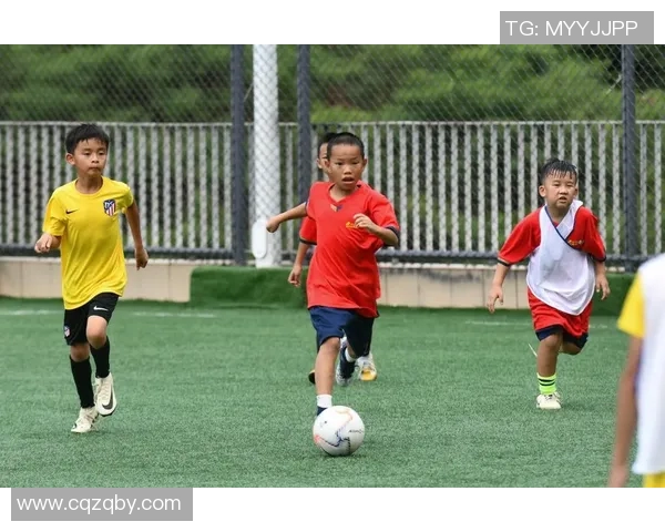 深度对话陈静从球场到人生的蜕变与追求